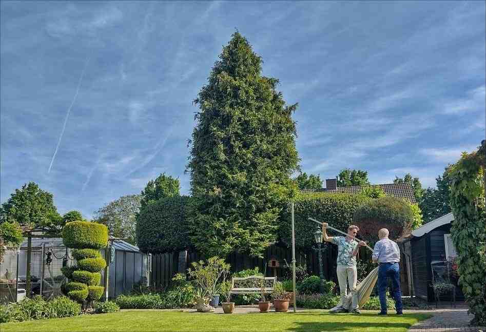 Take care of the large garden