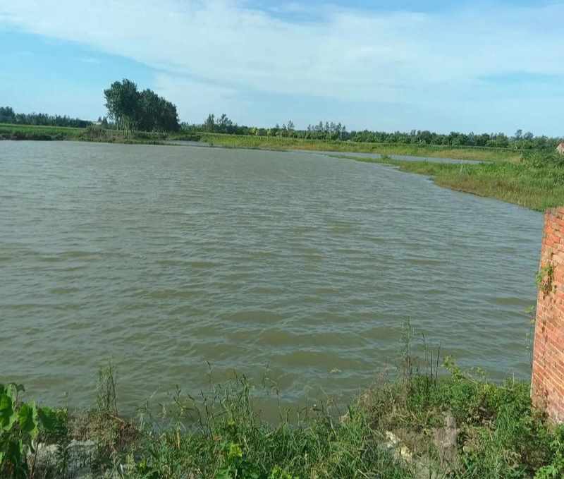 farmland is flooded by water